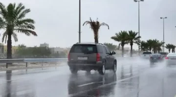 تحذير للأرصاد.. رياح محملة بالأتربة تضرب المحافظات مع انخفاض ملحوظ بالحرارة اليوم